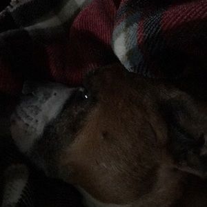 Meet your Posher, Sandra